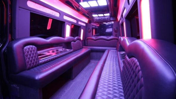 green bay sprinter limo rental inside